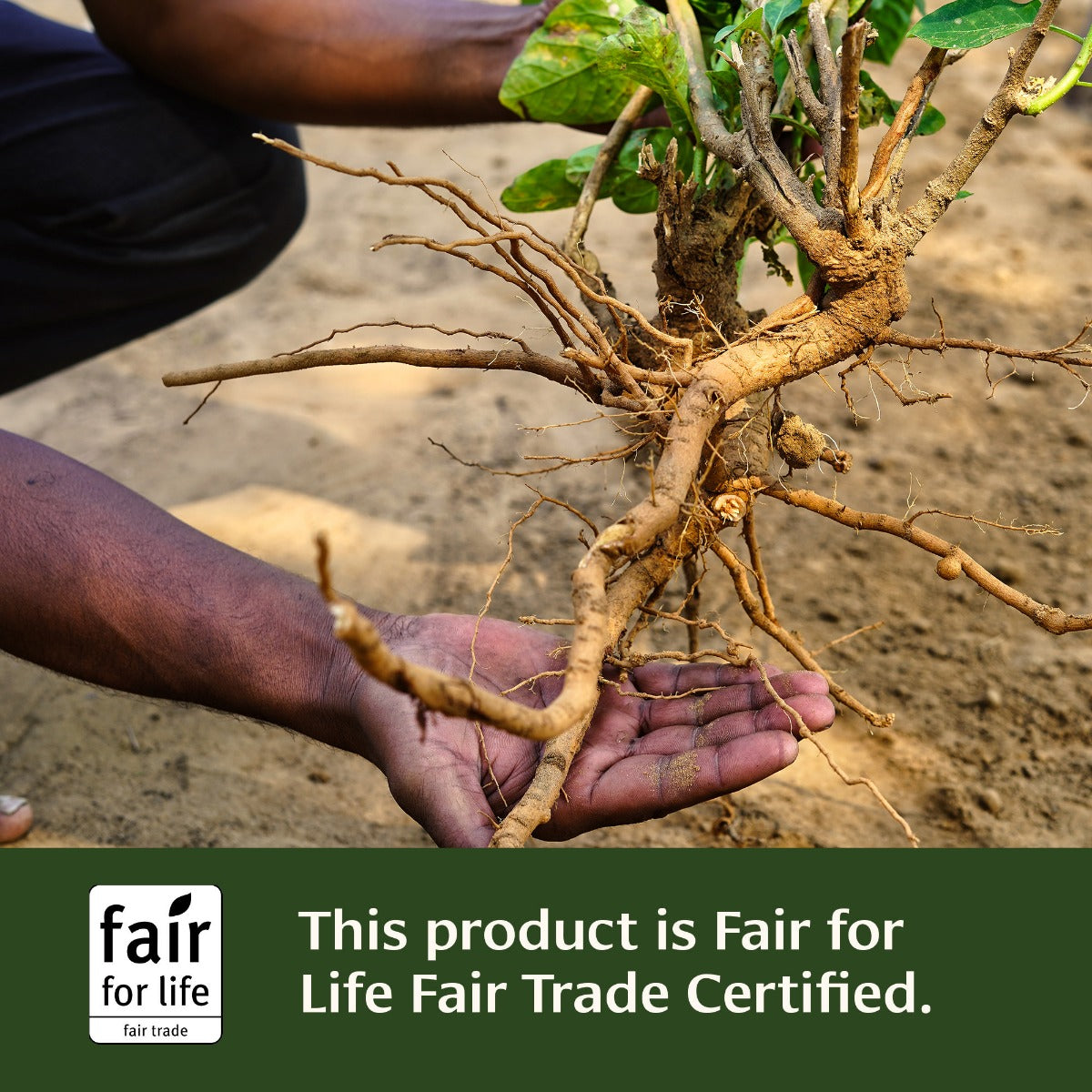 Ashwagandha tablets Fair for Life Fair Trade Certified