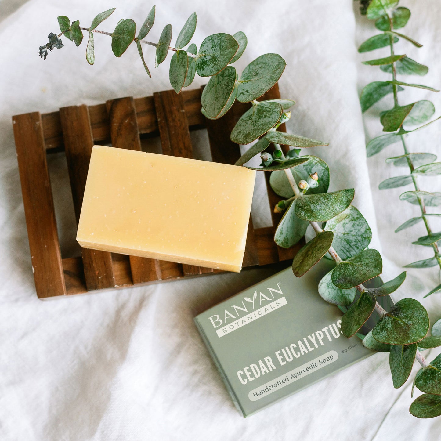 Cedar Eucalyptus soap bar next to box and eucalyptus branches