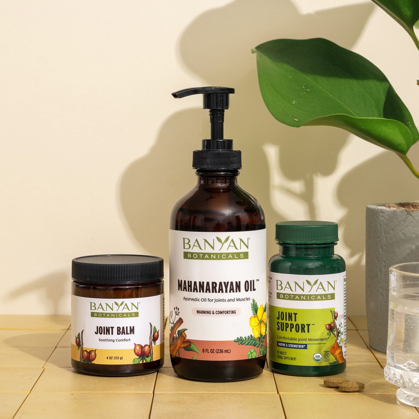 Joint Comfort Bundle with plant