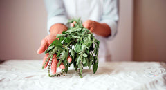 6 Essential Ayurvedic Herbs for Fall and Winter