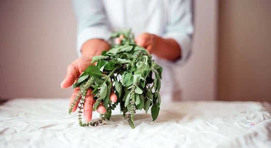 6 Essential Ayurvedic Herbs for Fall and Winter