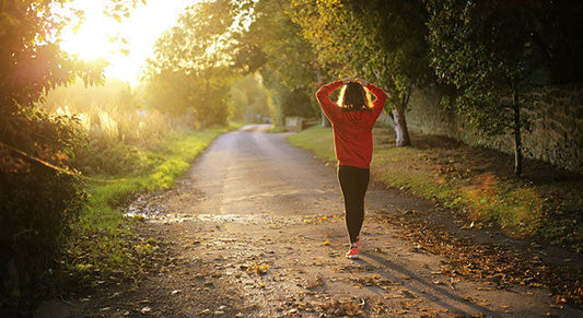 6 Herbs to Support Healthy Adrenals