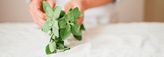 5 Ashwagandha Studies You Should Know About