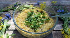 Basic Warming Kitchari