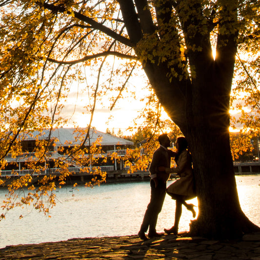 Transition Through the Seasons with Love