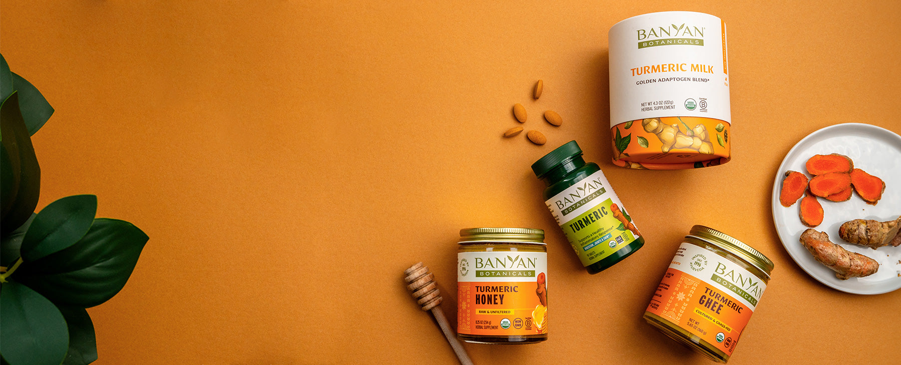 Turmeric Wellness Products