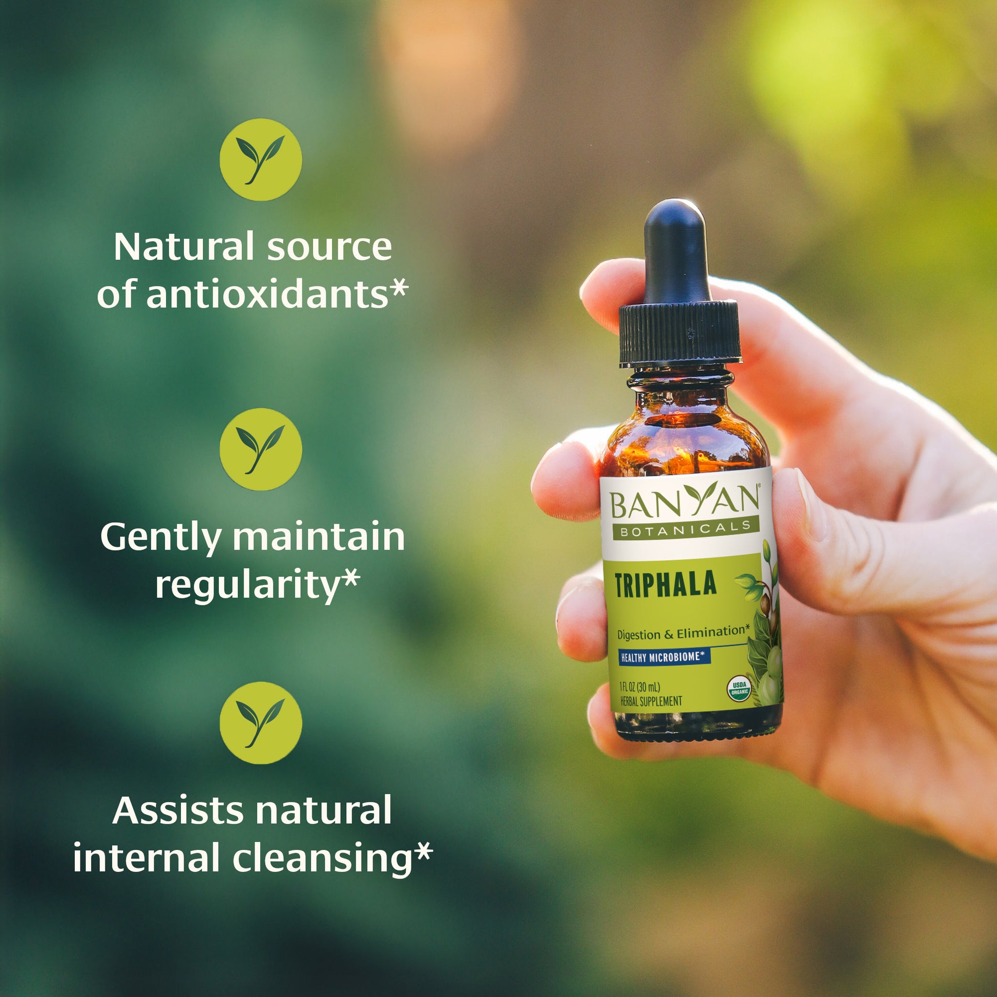 Triphala Liquid Extract Benefits