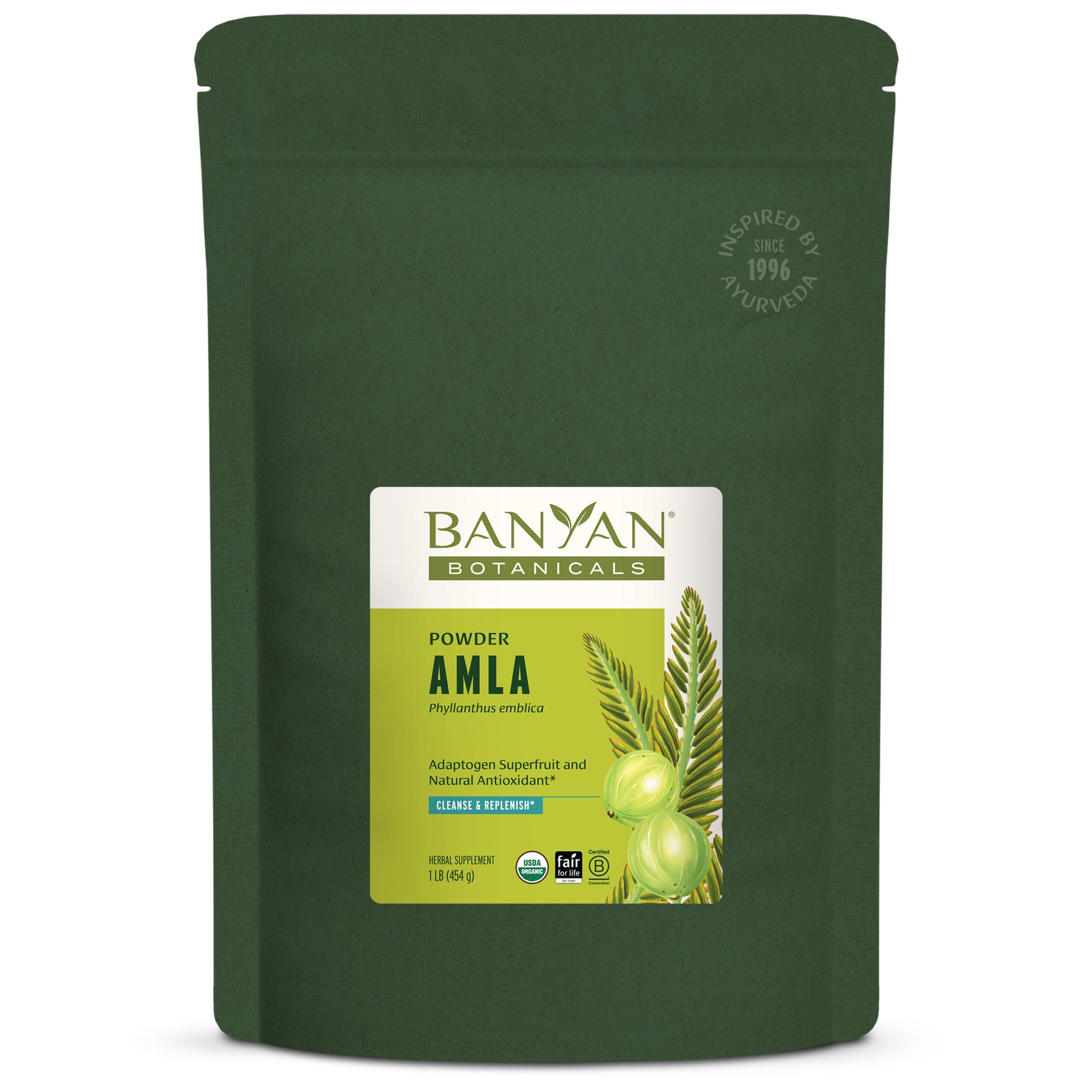 Amla Powder 1 lb