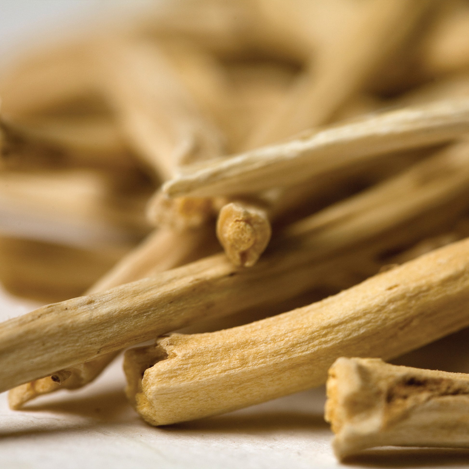 Organic Ashwagandha Root Close Up