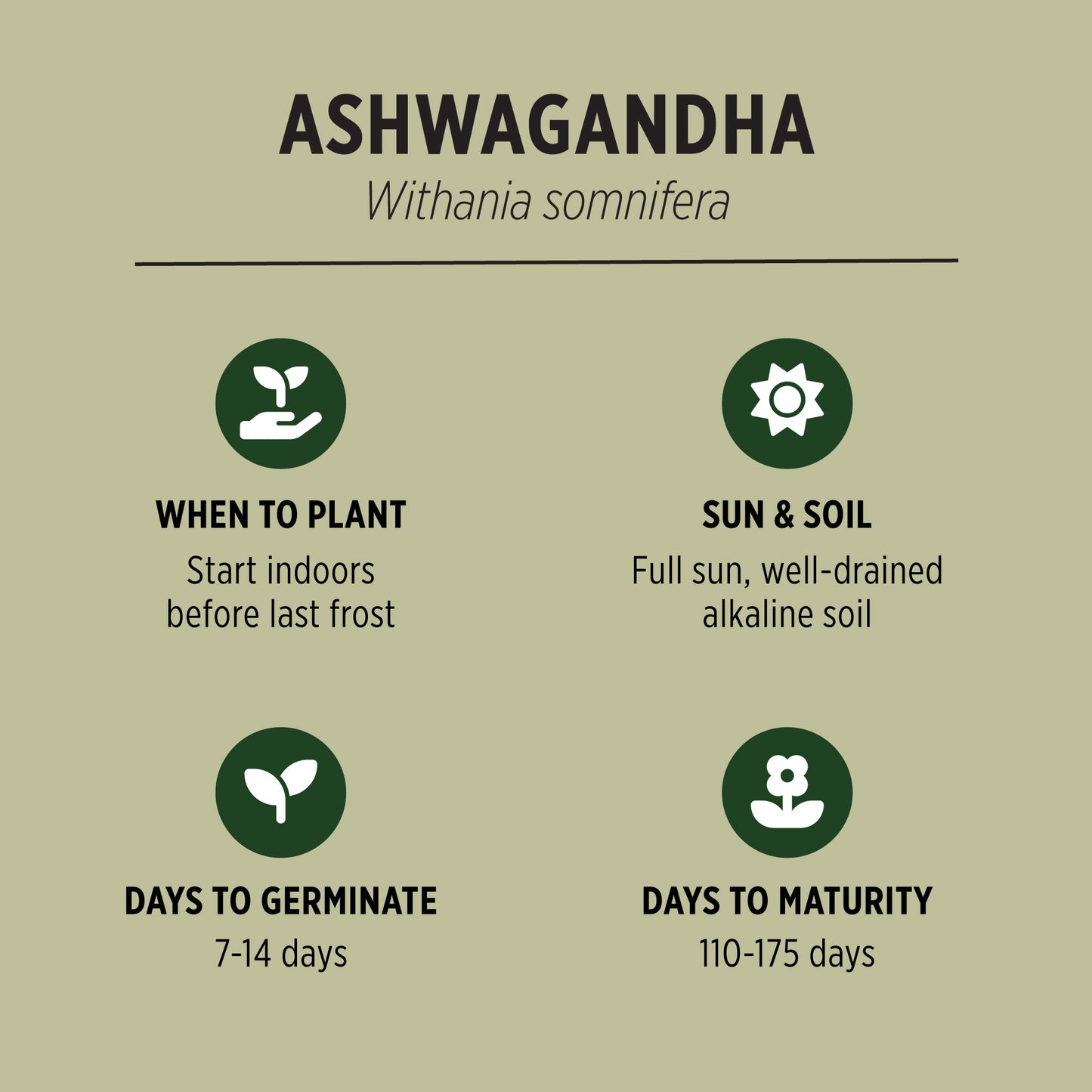 Organic Ashwagandha Seeds Quick Facts