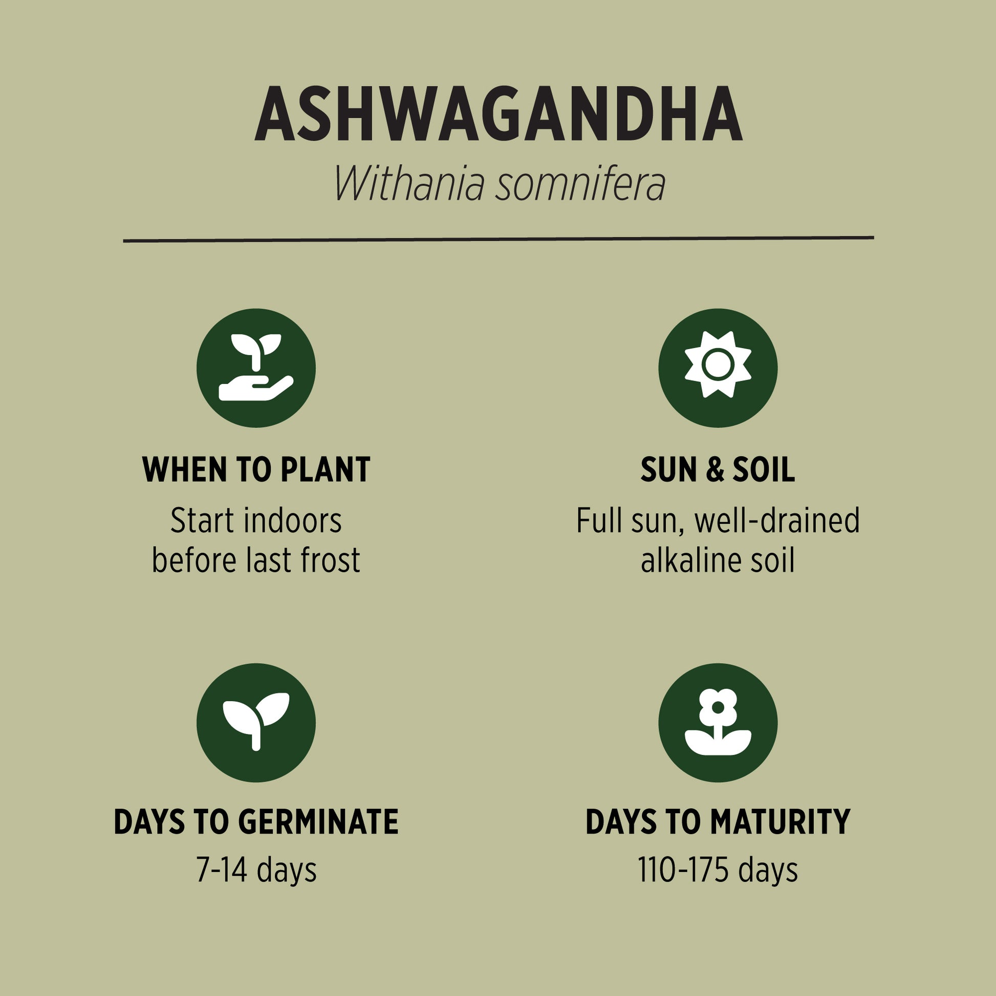 Organic Ashwagandha Seeds Quick Facts
