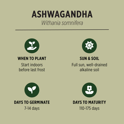 Organic Ashwagandha Seeds Quick Facts