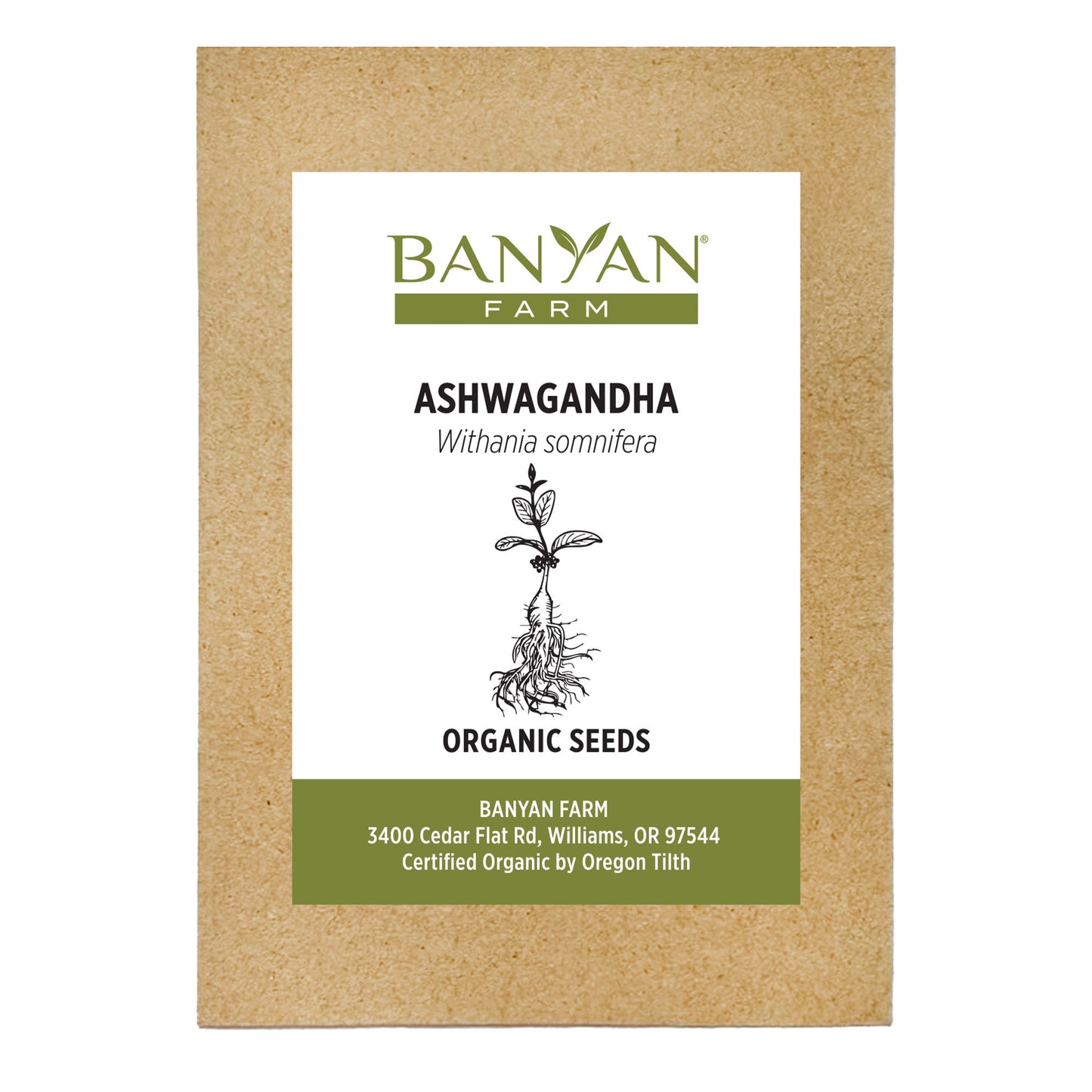 Organic Ashwagandha Seeds