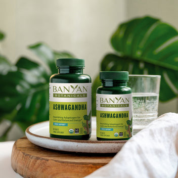 Taking Ashwagandha: Who It's for and How to Use It – Banyan Botanicals