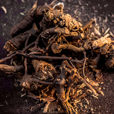 Chitrak Root