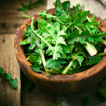 Dandelion Greens
