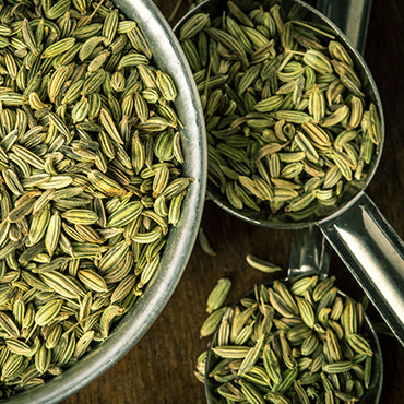 Fennel