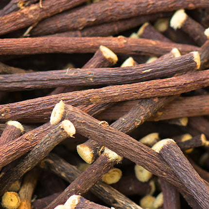 AN HERBALIST'S FAVORITE