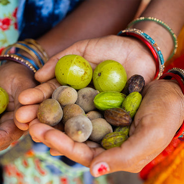 Triphala Fruits