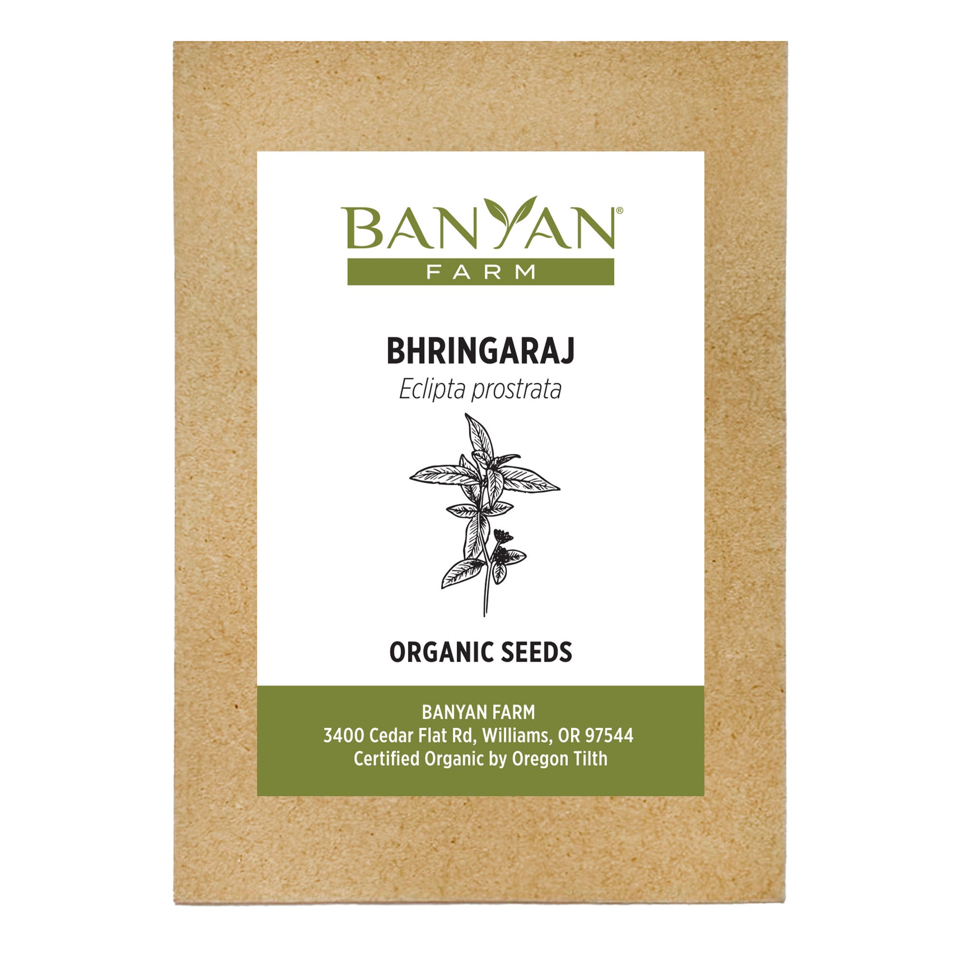Bhringaraj Seed Packet