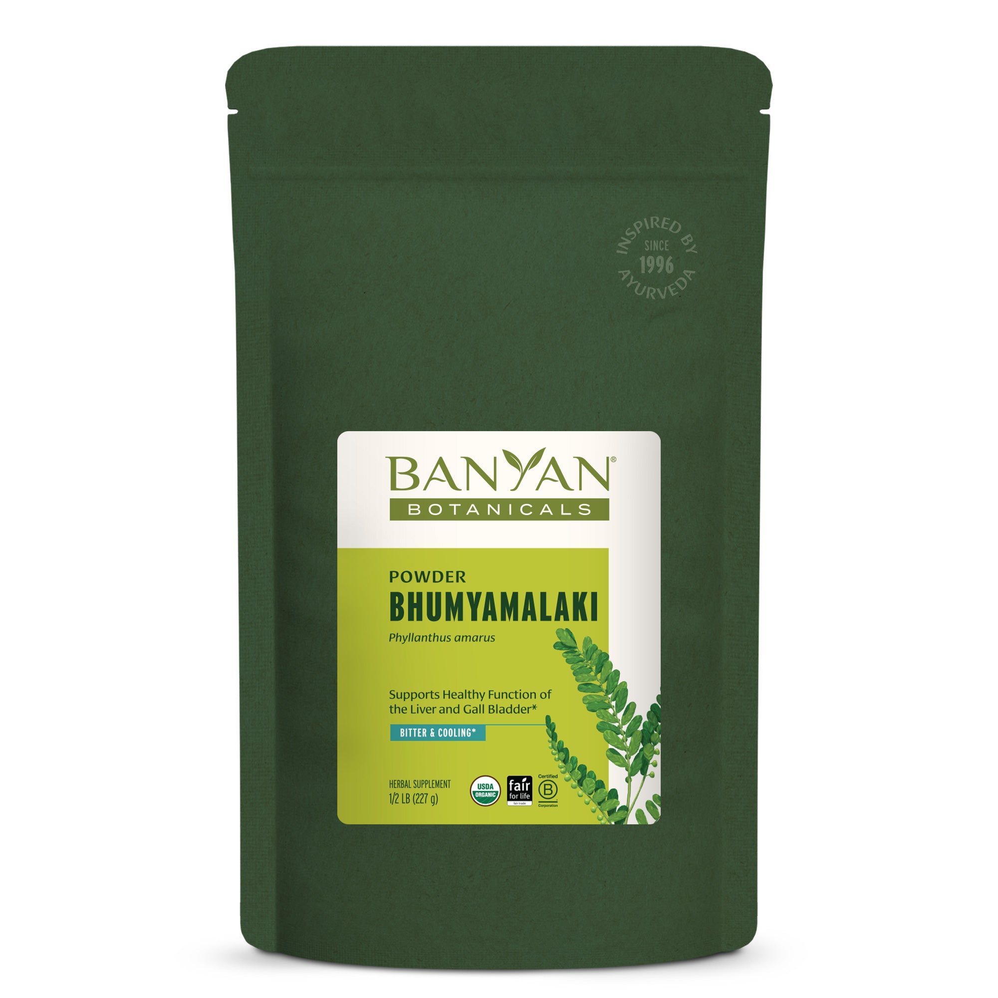 Bhumyamalaki (Phyllanthus amarus) powder