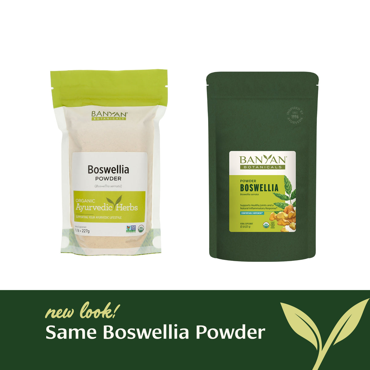 Organic Boswellia Serrata Resin Powder | Indian Frankincense Powder ...