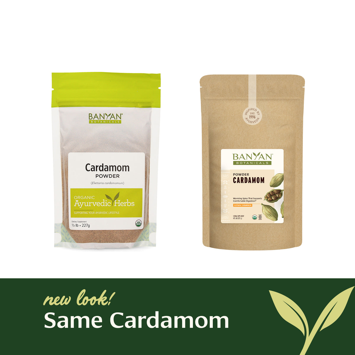 Cardamom Powder - Ground Cardamom | Organic Spices – Banyan Botanicals