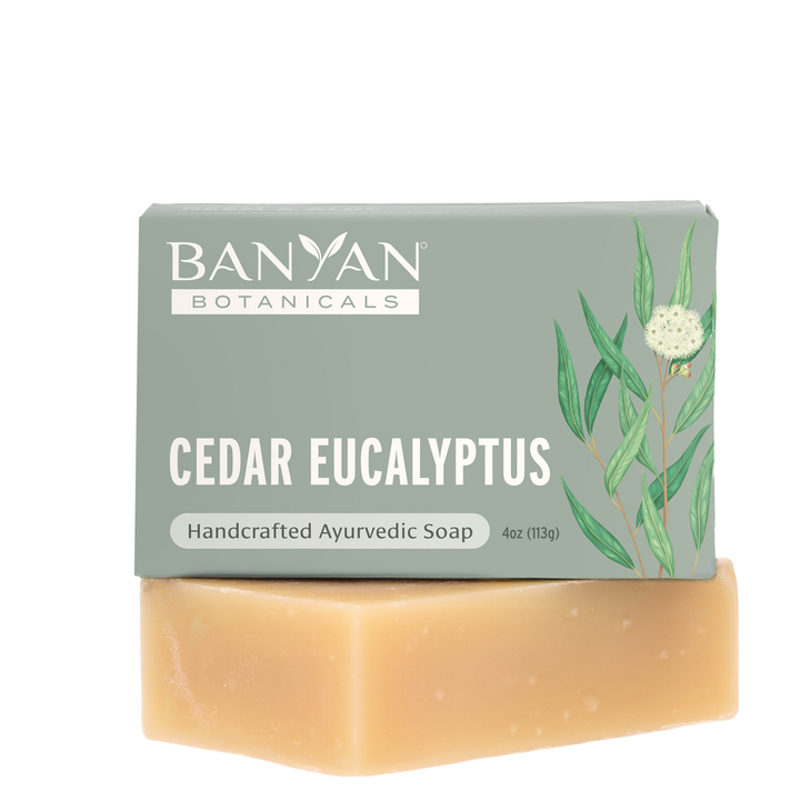 Cedar Eucalyptus Soap