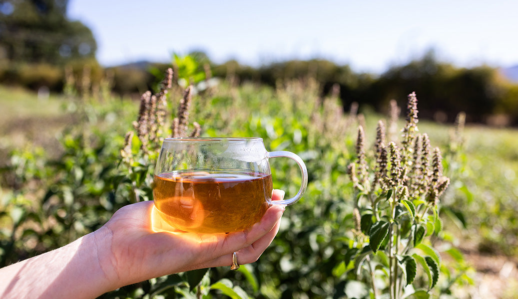 Tonic, Light & Subtle