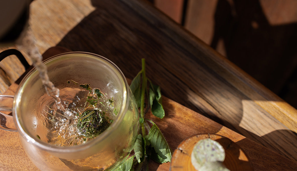 Crafting a Transformative Experience 