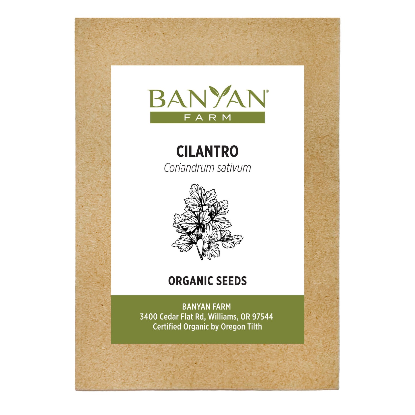 Cilantro Seed Packet