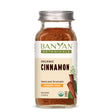 spice jar: Cinnamon powder spice jar on white background