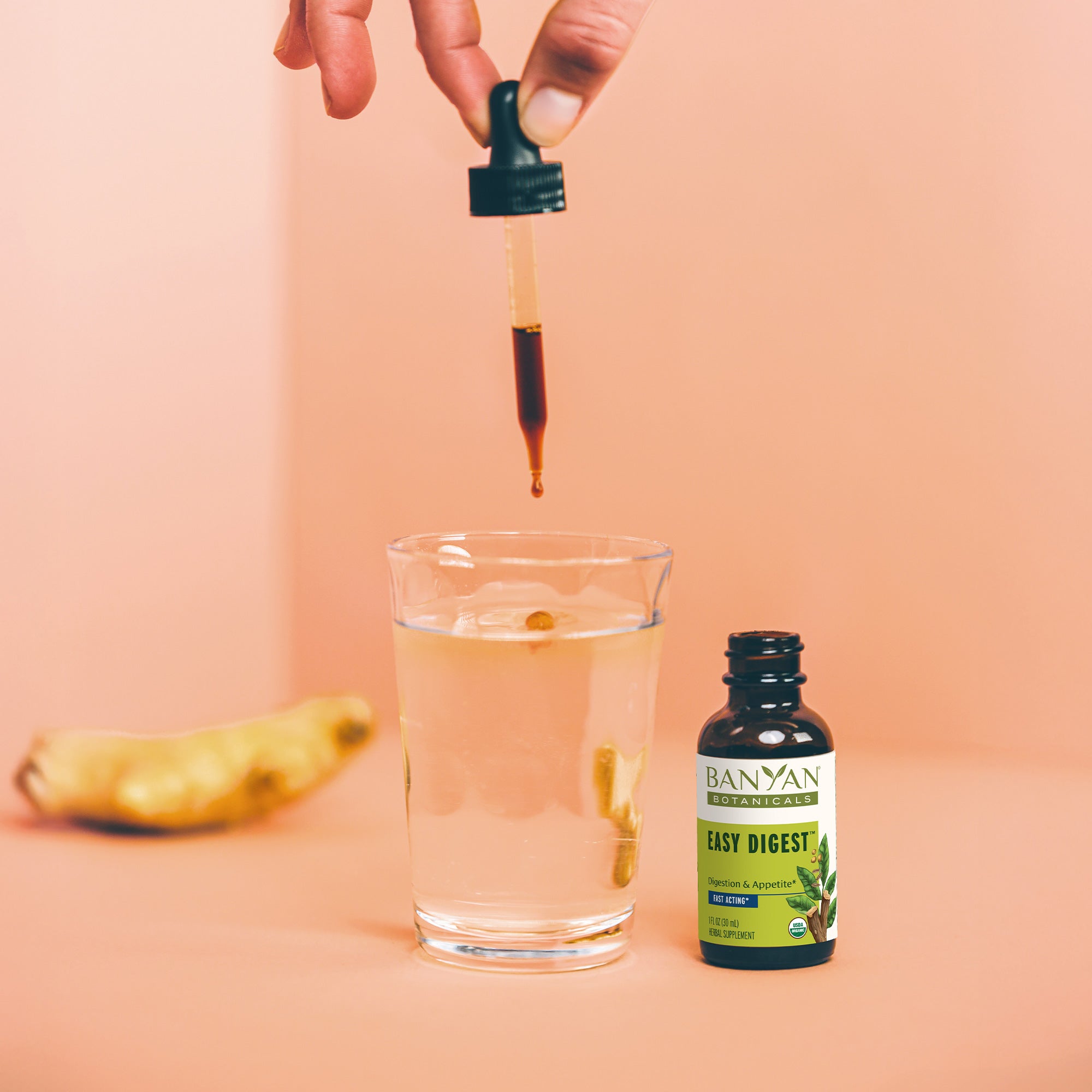 Easy Extract Herbal Extracts | Ayurvedic Liquid Extracts – Banyan Botanicals