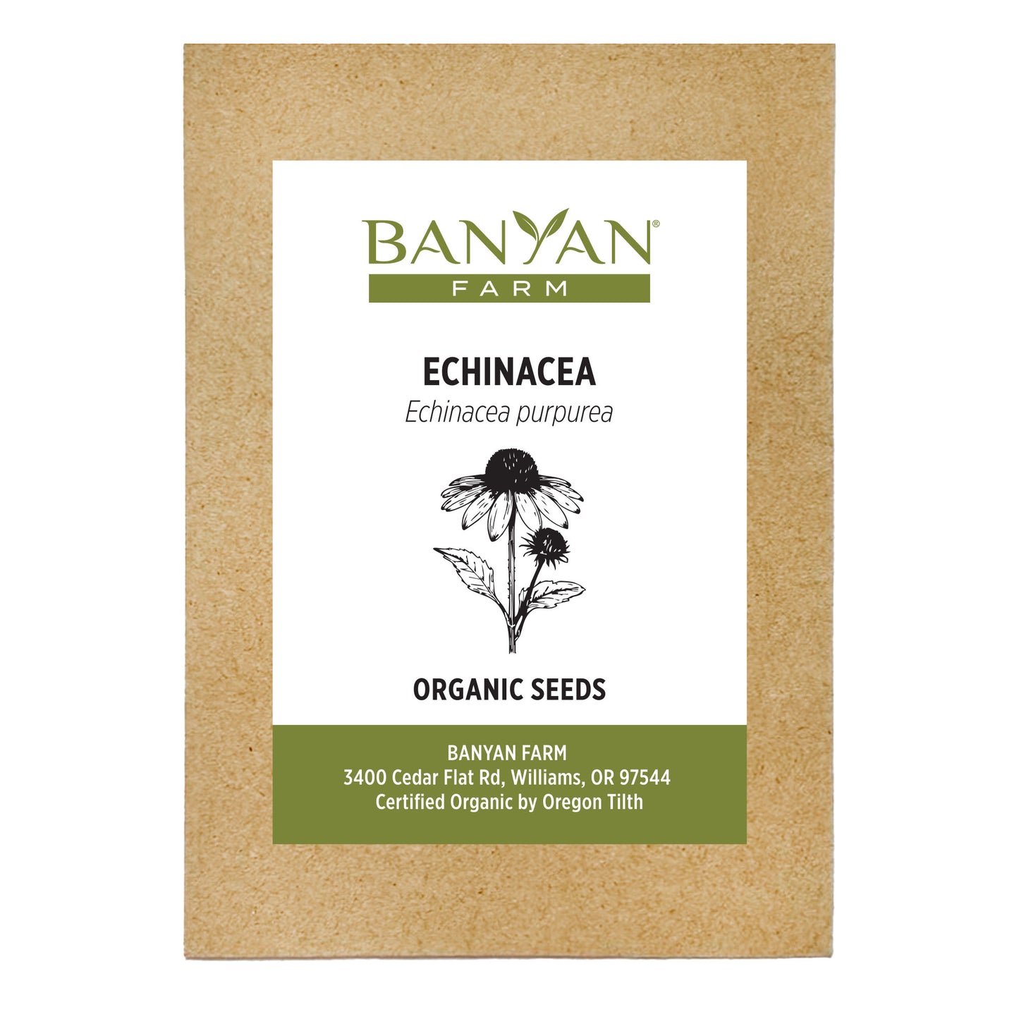 Echinacea Seed Packet