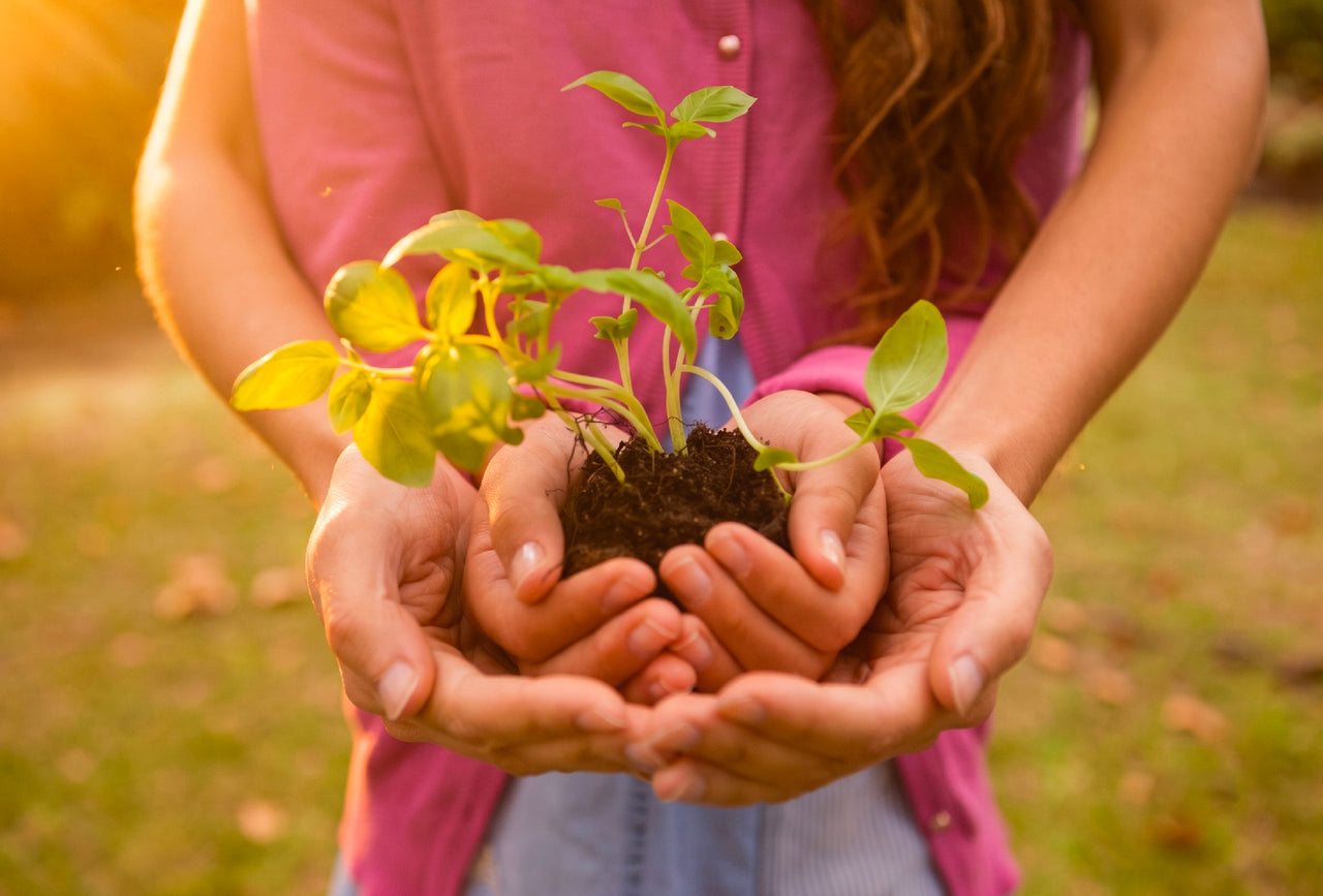 Ayurvedic Wisdom for Preconception