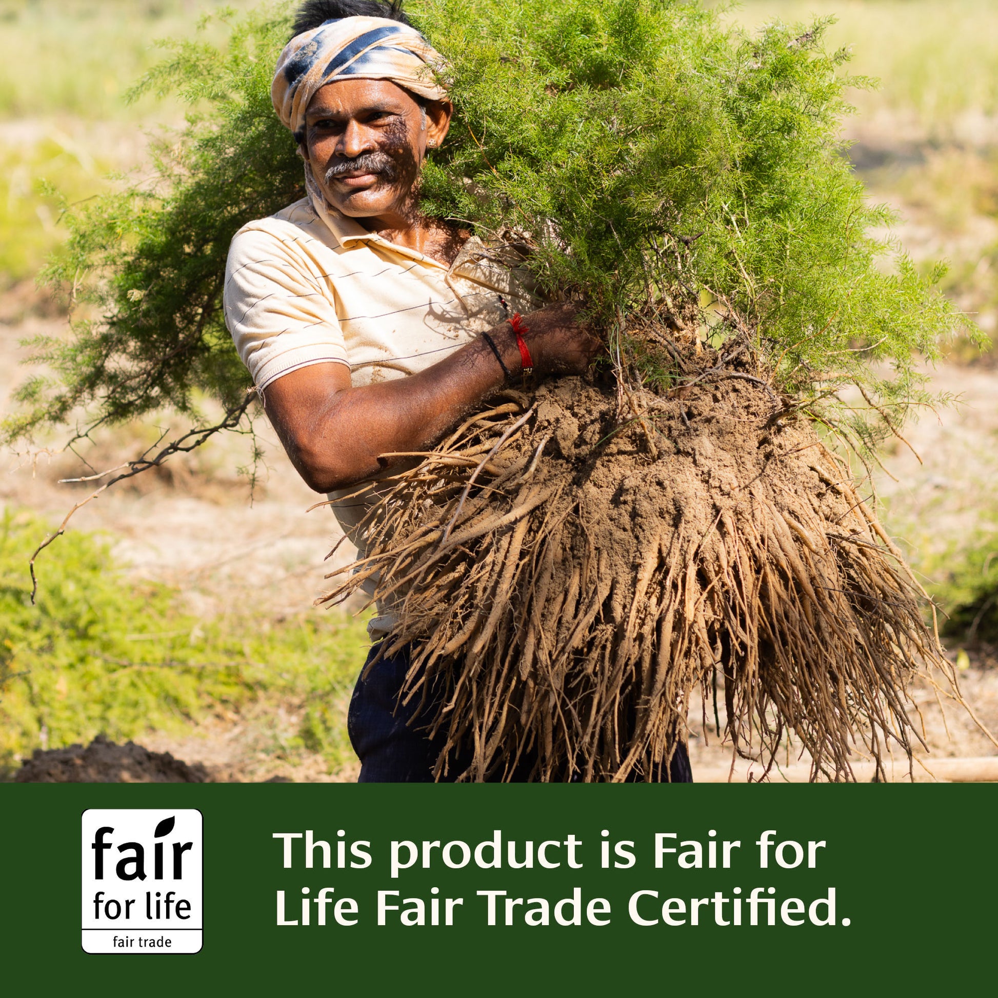 Fertility Balance is certified Fair for Life Fair Trade