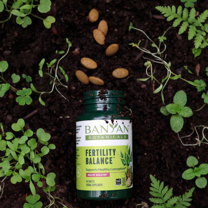 Fertility Balance and tablets