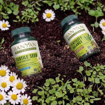 Couple's Fertility Support Bundle