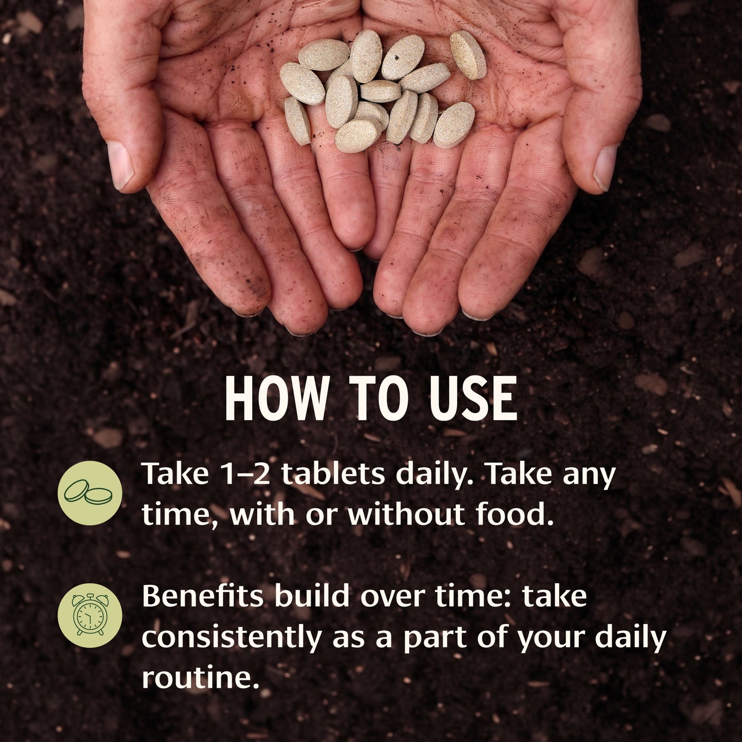 Fertile Seed
