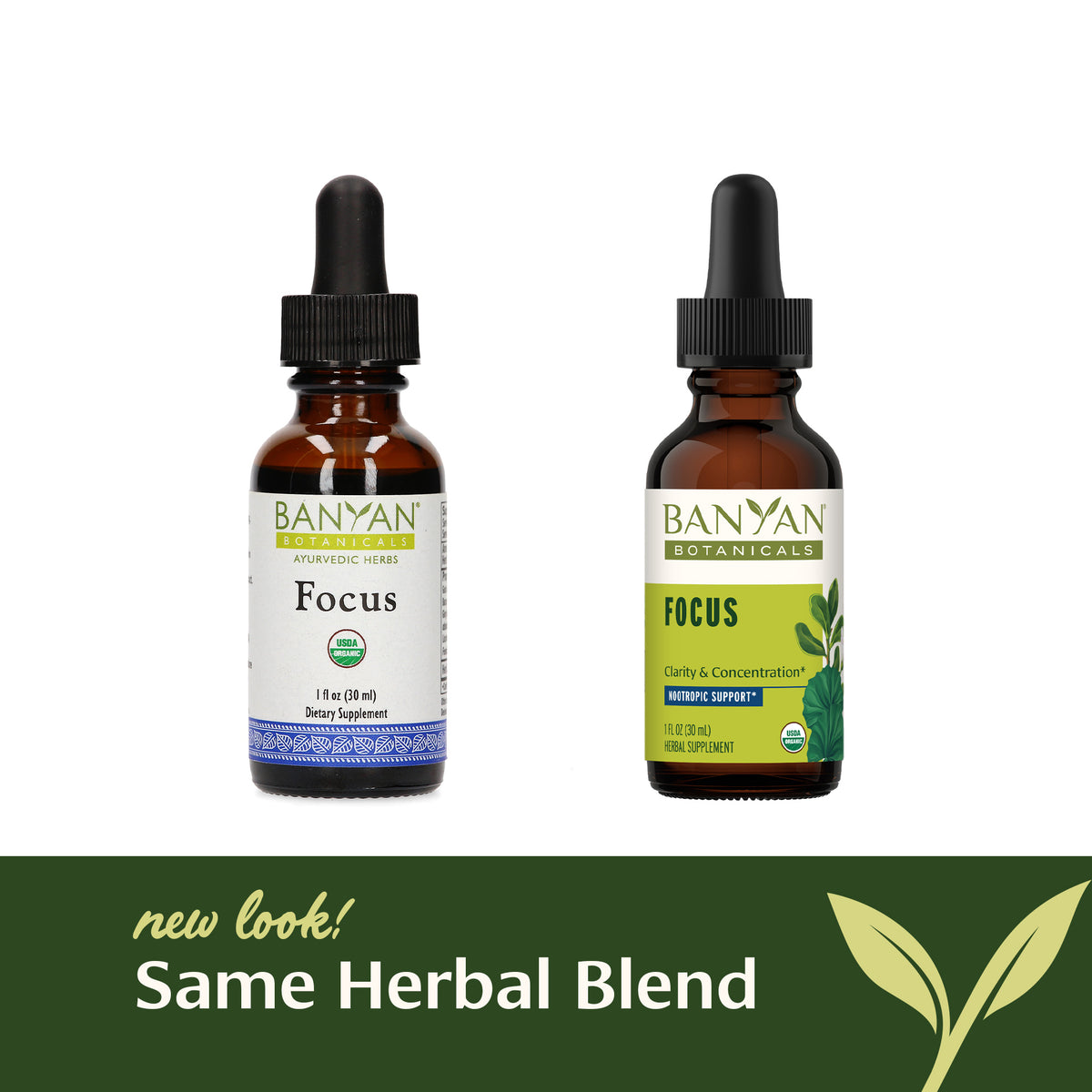 Focus Herbal Extract | Focus Supplements & Herbal Extracts ...