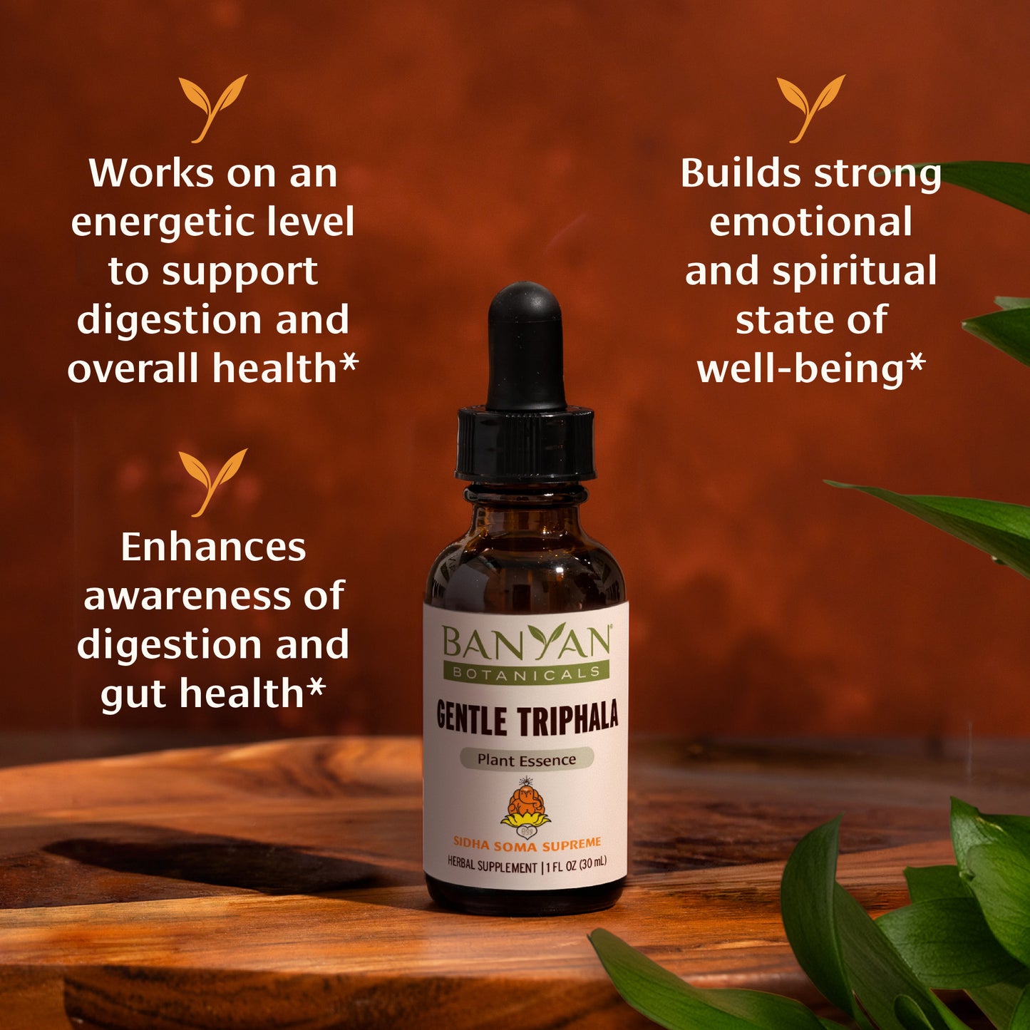 Gentle Triphala Plant Essence