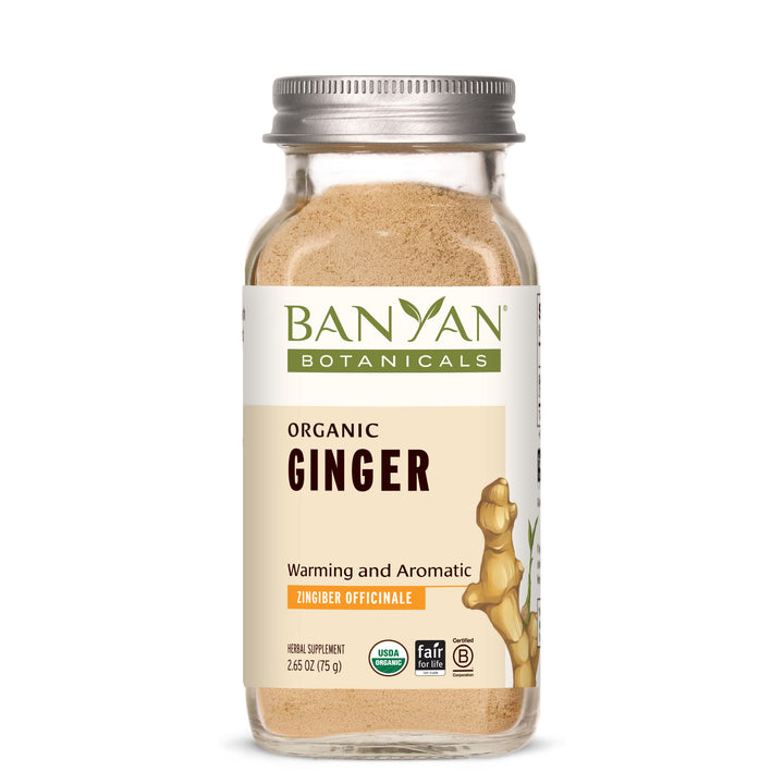 Ginger powder Spice jar