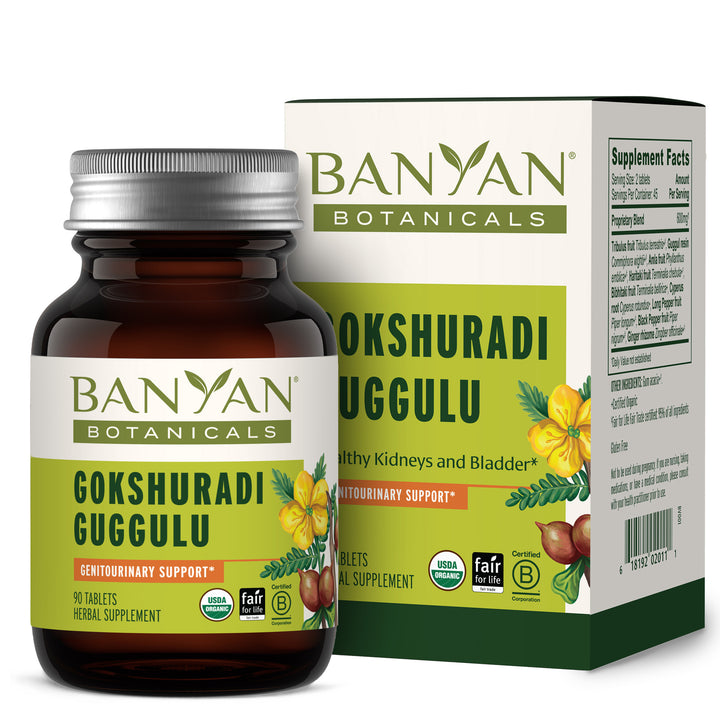 Goshuradi Guggulu tables in glass bottle in front of box
