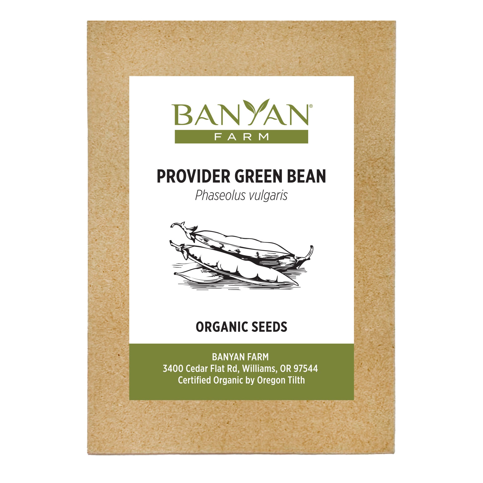 Green Bean Seed Packet