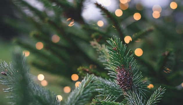 20% Off Orders of $75+