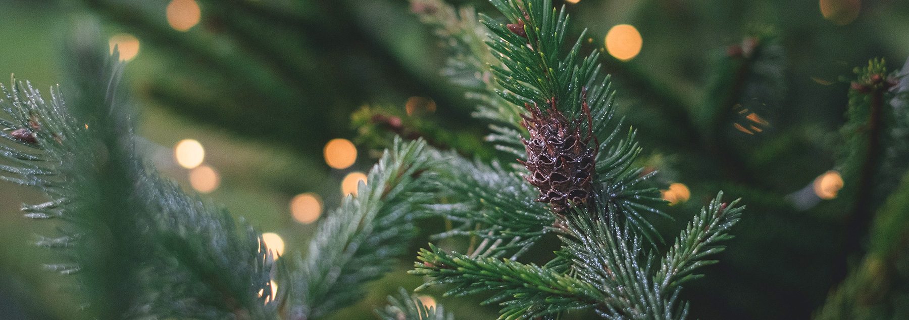 20% Off Orders of $75+