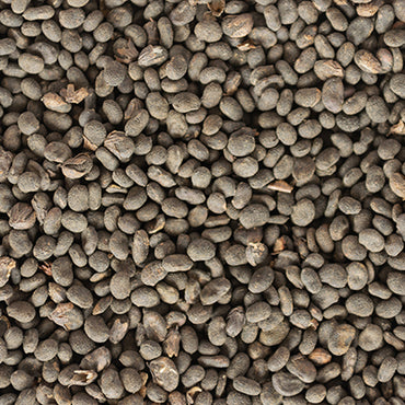 Bakuchi Seed