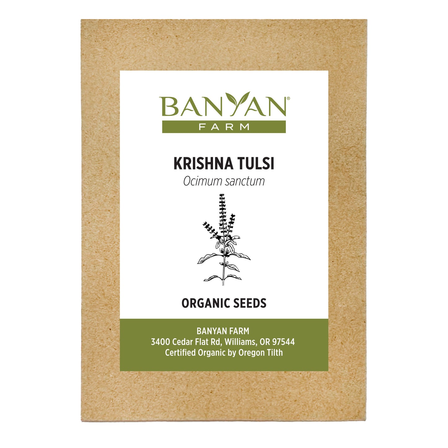 Krishna Tulsi Seed Packet