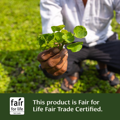 Mental Clarity Tablet Fair for Life