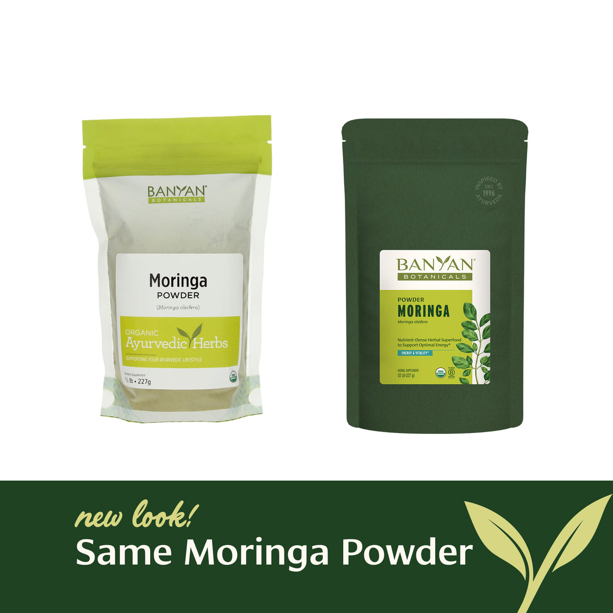 Moringa Oleifera Powder